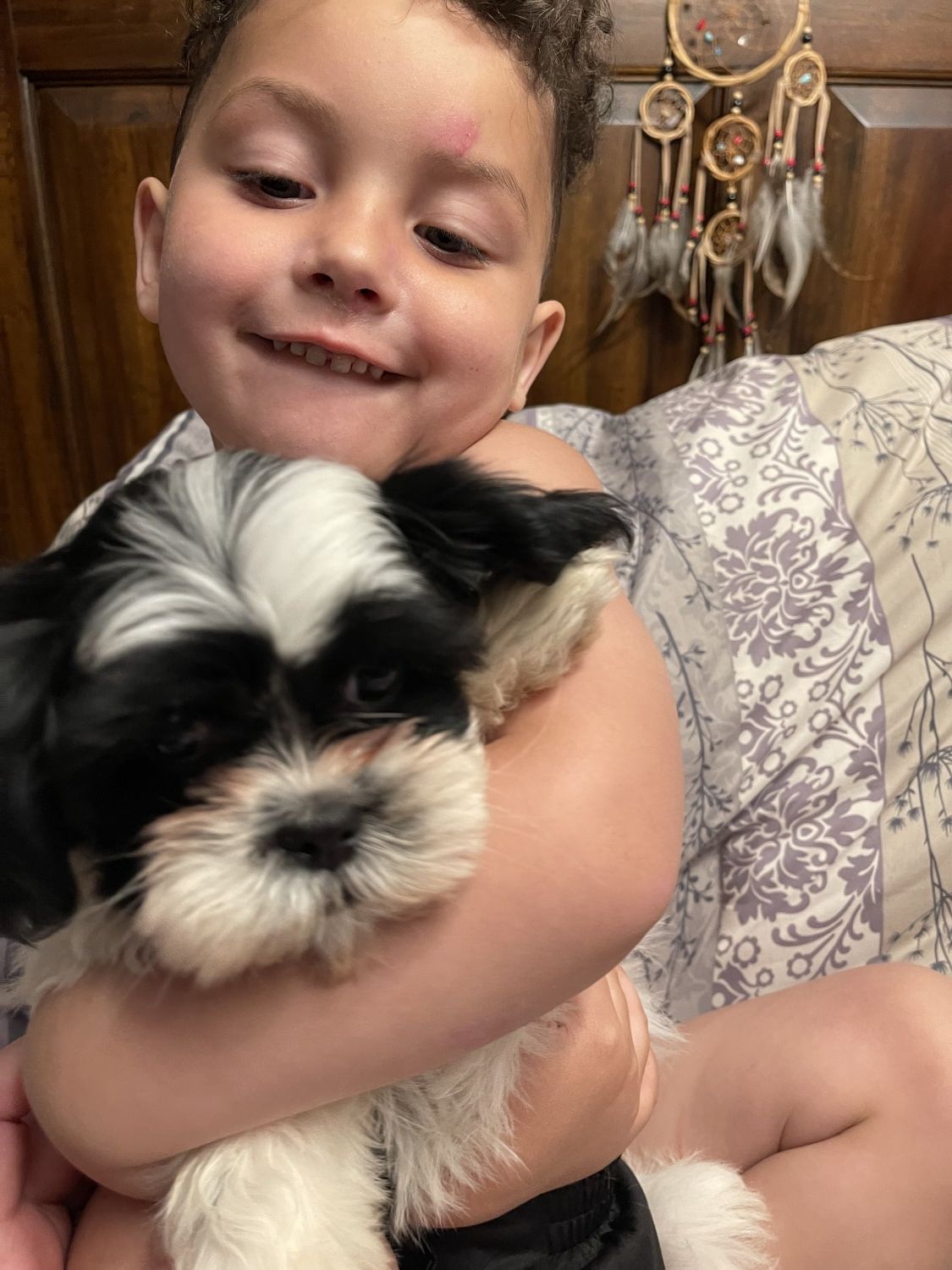 Boy holding puppy