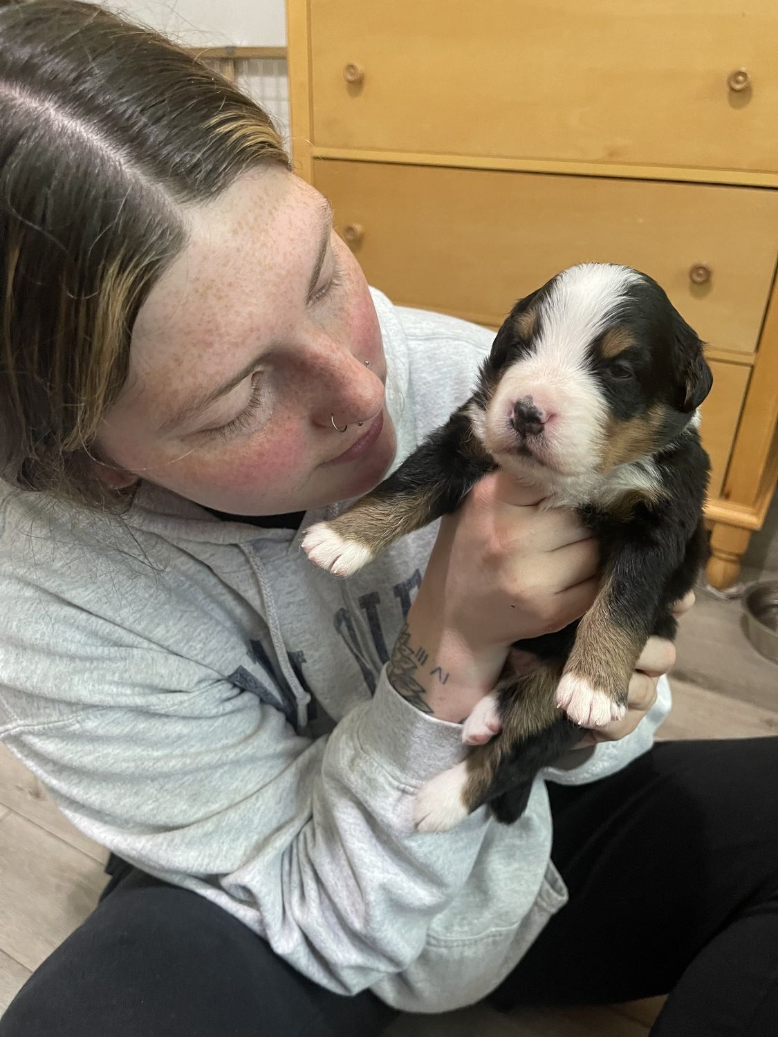 Girl holding puppy