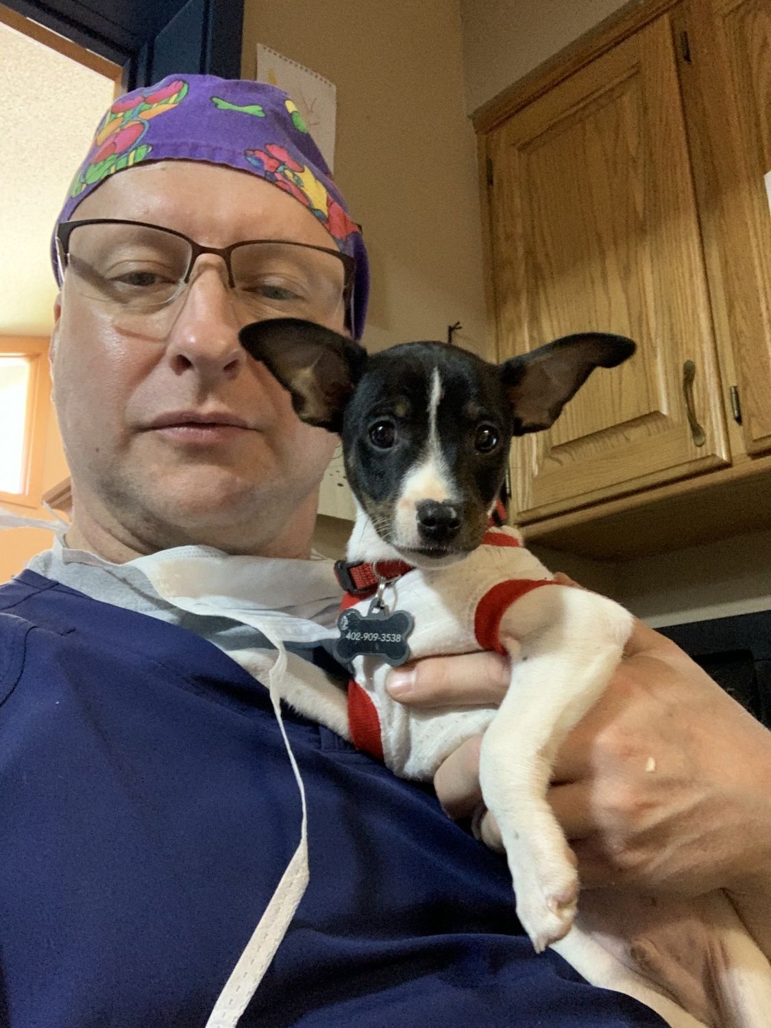 Dr holding small dog