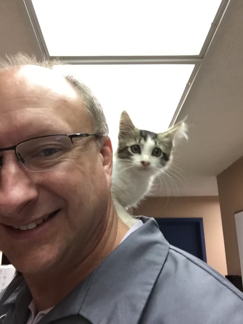 Dr with kitten over his shoulder