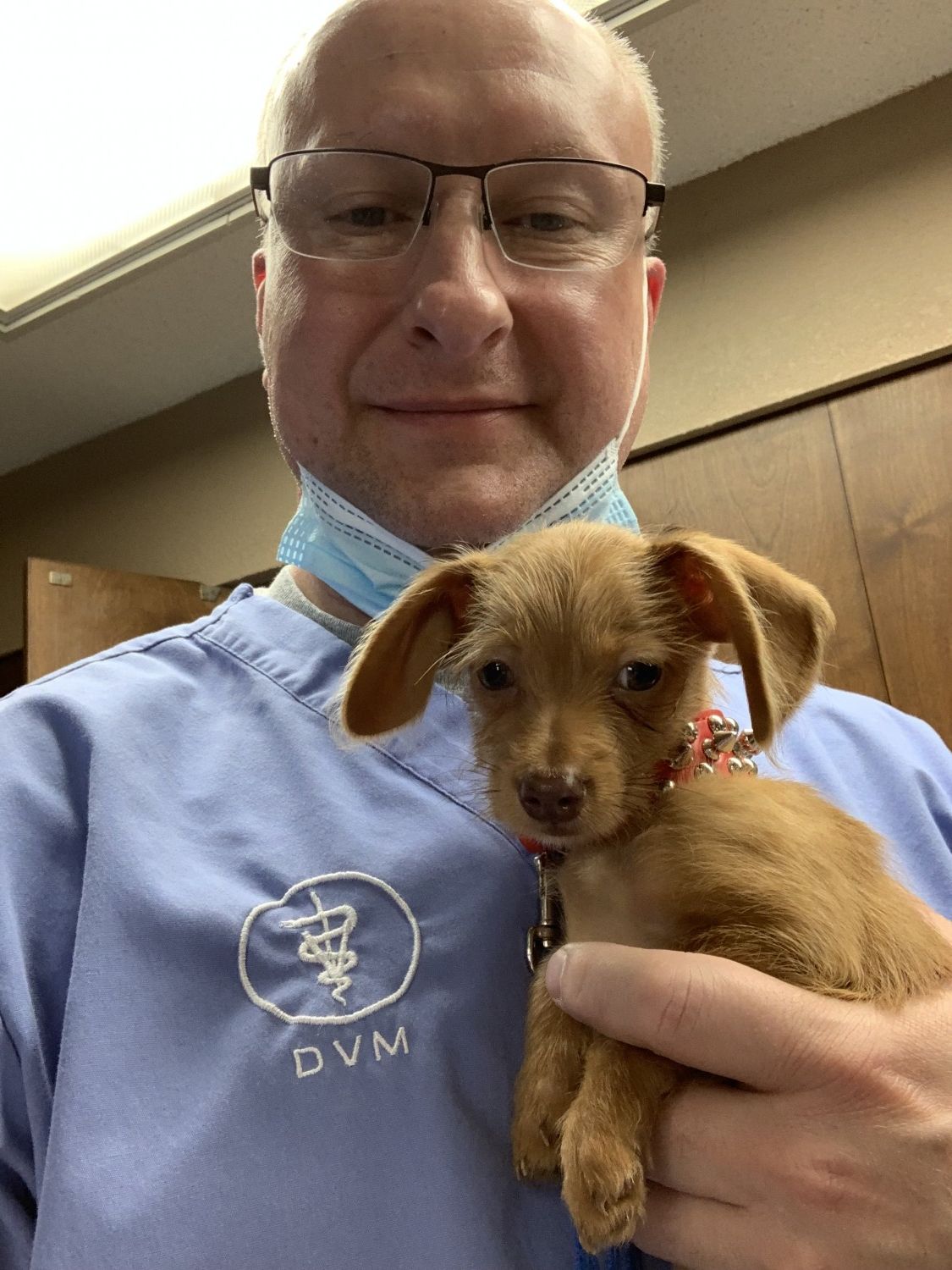 Dr with puppy